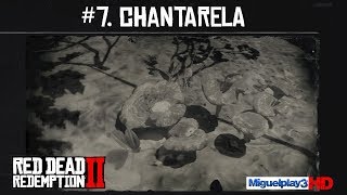 Localización Chantarela  7Compendio Plantas  Red dead redemption 2 [upl. by Mullins]