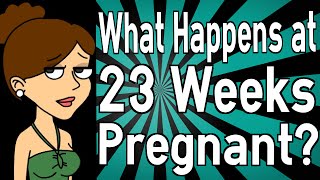 What Happens at 23 Weeks Pregnant [upl. by Angelina]