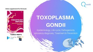 Toxoplasma Gondii  Parasitology Simplified tutorials For NEETPG NEXT USMLE PLAB UKMLE FRCP [upl. by Nodyl516]