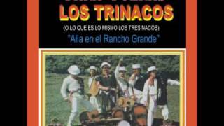 Los Trinacos  Alla en el Rancho Grande Polka [upl. by Friederike975]