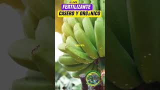 fertilizante Casero y Orgánico jardineríaencasa fertilizantesnaturales [upl. by Aniras422]