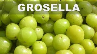 Estos son los 5 mejores beneficios del Amla o Grosella espinosa india para la salud del cuerpo [upl. by Simone108]