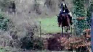 Brosna Foxhounds  Fox Hunting in Daingean  Part 1 [upl. by Averill590]