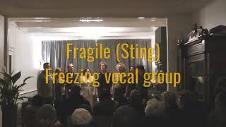 Vocal Group Freezing Frl zingt Fragile ttv Huiskamerconcerten in Akkrum dec 2012 versie 2024 [upl. by Lienad412]