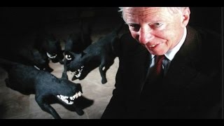 Rothschild Family Banking Dynasty and the International Bond Market [upl. by Eugaet]