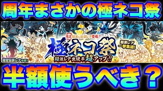 極ネコ祭ガチャに半額セール使うべきなの？（※キャラ解説＆限定ランキングは説明欄にリンクあります） にゃんこ大戦争 [upl. by Abbey]