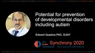 Potential for prevention of developmental disorders including autism E Quadros SUNY Synchrony2020 [upl. by Cha]