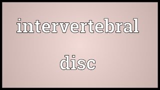 Intervertebral disc Meaning [upl. by Moriarty]