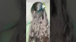 Claw clip hairstyles hairstyle hair tutorial hairtutorial shortvideo [upl. by Sillaw]