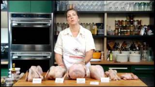 All About Choosing the Right Turkey for Thanksgiving Part 1 of 3 [upl. by Aelahs]