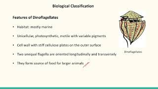 Biological Classification Part 3 SATHEEMED swayamprabha medicalentranceexam [upl. by Flavian614]