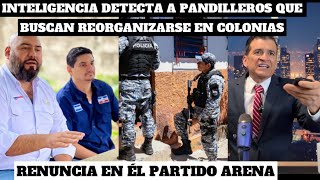 Pandilleros intentan REORGANIZARSE en algunas coloniasRenuncia al interior del partido ARENA [upl. by Acul493]