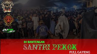 Dj Bantengan Santri Pekok Suro beldugs support sw grub and wono joyo original remix Djilmi project [upl. by Ybbob]