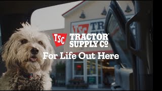 Life with Pets  No Two Days Are the Same farmanimals petlover petsupplies [upl. by Etiuqal]