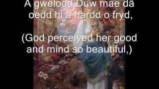 Celtic Love Song from Wales Olwen [upl. by Raimondo767]