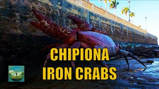 Hyperlapse Chipiona Crab Iron Sculptures Walking Tour Cádiz Andalucía Spain 4K [upl. by Cristiano832]