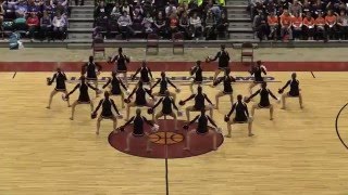 Middleton Dance Team2016 WACPC State D1 Pom [upl. by Philippine382]