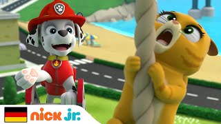 PAW Patrol  Die Welpen retten ein verirrtes Kätzchen  Nick Jr Deutschland [upl. by Elleined244]