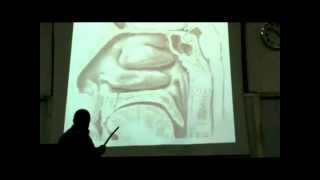 Dr Sherif Galal Neck 15 quotNose  Nasal cavity amp Paranasal sinus quot [upl. by Hastings266]