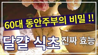 60대 동안주부의 비밀 달걀식초의 효능 I 톡톡 생생건강 [upl. by Tan]