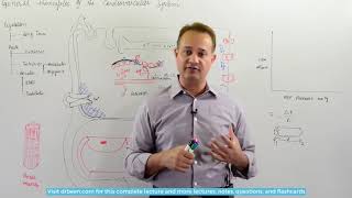 Blood Flow Autoregulation [upl. by Nwahsav]