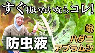 【ニンニクと唐辛子で作る防虫液】めっちゃ効いたアブラムシ蛾・蝶・ハダニにも効果あり [upl. by Ahsekyt288]