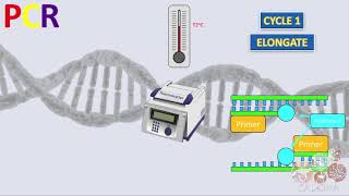 4 Overview of environmental DNA metabarcoding [upl. by Etteraj]