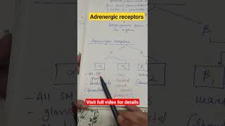 Adrenergic receptors shorts physiology nervous system CNS [upl. by Noland97]