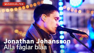 Jonathan Johansson  Alla fåglar blåa  Musikhjälpen 2023 [upl. by Swane]