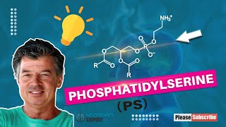 Phosphatidylserine [upl. by Civ]