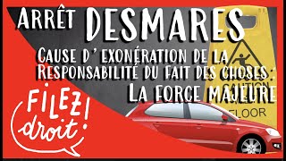 Arrêt Desmares  Force Majeure Seule Exonération Responsabilité du Fait des Choses cass 210782 [upl. by Mccoy583]