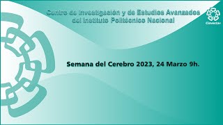 Semana del Cerebro 2023 24 Marzo 9h [upl. by Alym27]