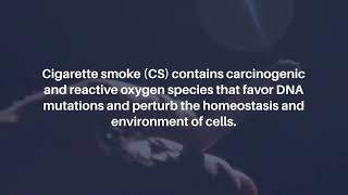 Benidipine Promotes Death of Senescent Cells and Improves Lung Emphysema  AgingUS [upl. by Irec]