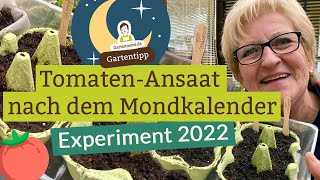 Erste Tomatenansaat 2022 nach dem Mondkalender [upl. by Barbara386]