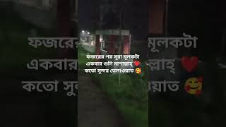 সূরা মূলক motivation youtubeshorts loveallahﷻ surah surahmulkwithurdu novolo [upl. by Maggie]