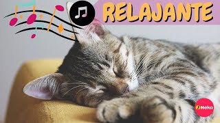 5 horas de canciones para GATOS nerviosos music que calma y relaja [upl. by Jovita622]