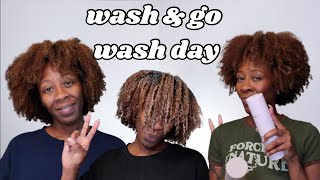 WASH AND GO WITH BREAD Black Owned Wash Day Heyknottygirl [upl. by Whitebook892]