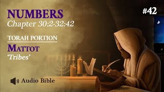 Audio Bible Torah Portion Mattot  Tribes  Numbers 3023242 [upl. by Brittne]