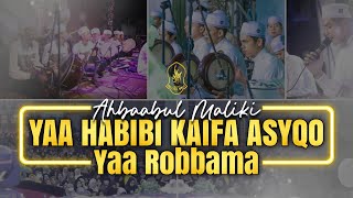 Ya habibi kaifa asyqo  Yaa Robbama [upl. by Lagiba]