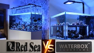 Red Sea Reefer vs Waterbox Aquariums Which Is Better [upl. by Ahsiram]