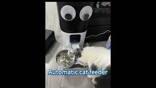 Automatic cat feeder for 2 cats [upl. by Warms]