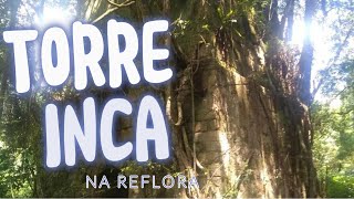 Trilha da torre inca Reflora SP [upl. by Name237]