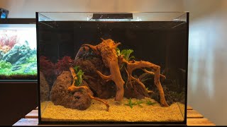 Simple Low Tech NanoTank Aquascape 30L [upl. by Lemmie]