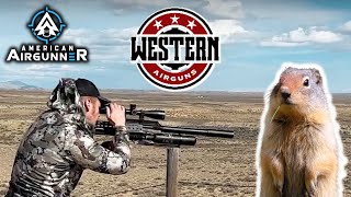 Semiauto 357 Airgun Prairie Dog Massacre  American Airgunner [upl. by Huskey]