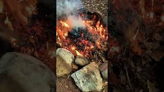 Cleaning fire for the campsite earthchansociety firepit fire camping [upl. by Aras896]