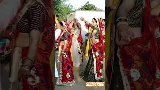 jaat ki chhati chodi haryanvi songshekhawati wedding dance shorts viral youtubeshorts [upl. by Naylor]