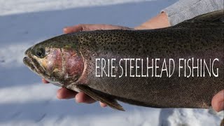 Erie Steelhead FishingFREEZING CONDITIONS [upl. by Relyc]