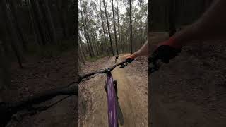 Nowra Now Has Rad MTB Jumps Funnel Web Trail at Superbowl [upl. by Skipper232]