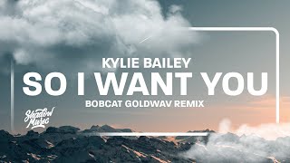 So I Want You ft Kylie Bailey BOBCAT GOLDWAV Remix TikTok Song [upl. by Renmus114]