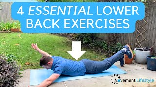 4 ESSENTIAL Lower Back Pain Exercises  Lower Back Strengthening [upl. by Farrar]